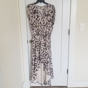 Haute Hippie Silk Dress